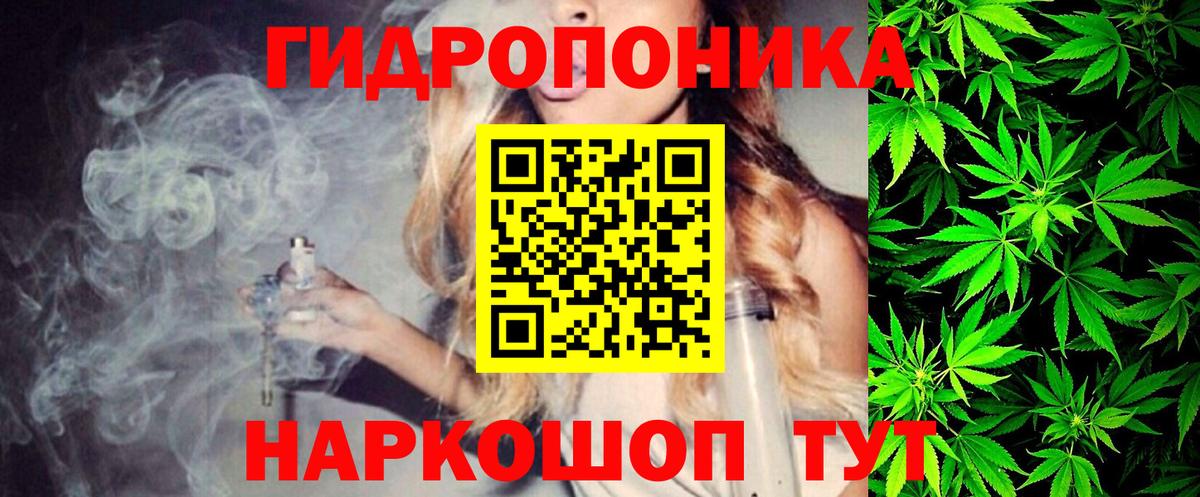 Бошки Шишки сатива  Бошки марихуана планчик  Железноводск  Вход с VPN 